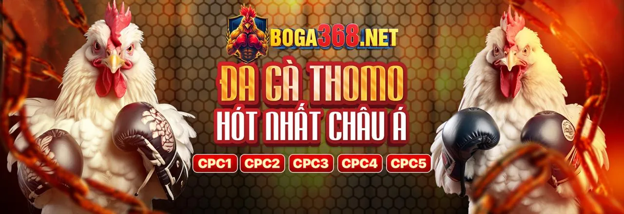 Đá gà trực tuyến kịch tính tại 36win chính thức