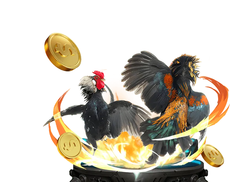 Giao diện cá cược đá gà 36win chính thức